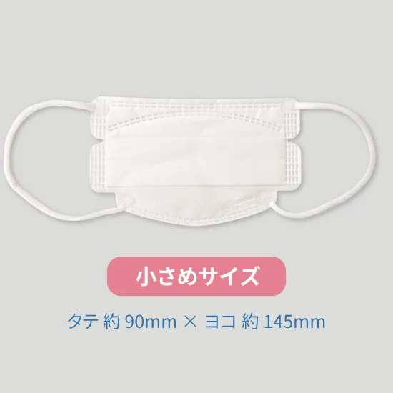 【定期便】究極のヤマシン・フィルタマスク プラス® 3枚入り