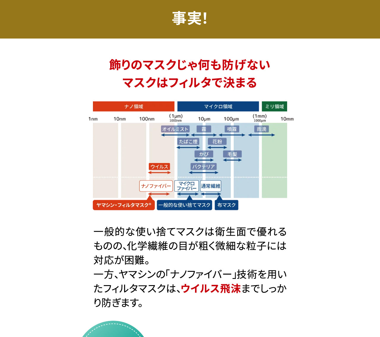 お試しセット